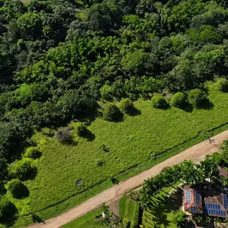 Overhead view of the lots and the neighbouring properties