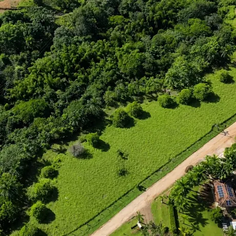 Aerial view of the titled land at Los Destiladeros, Pedas&iacute;, Panama