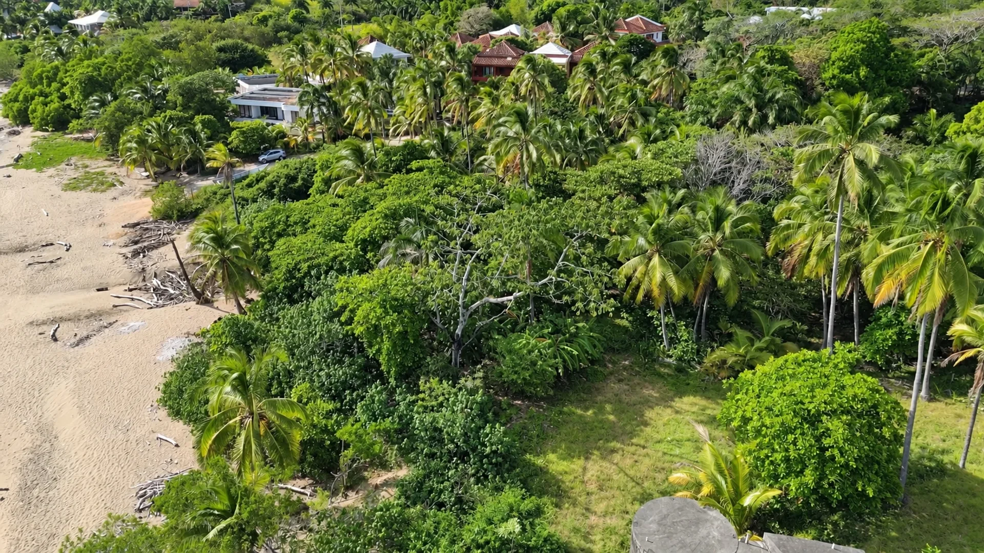 Palmeras y vegetación de un terreno frente al mar en Pedasí, Panamá