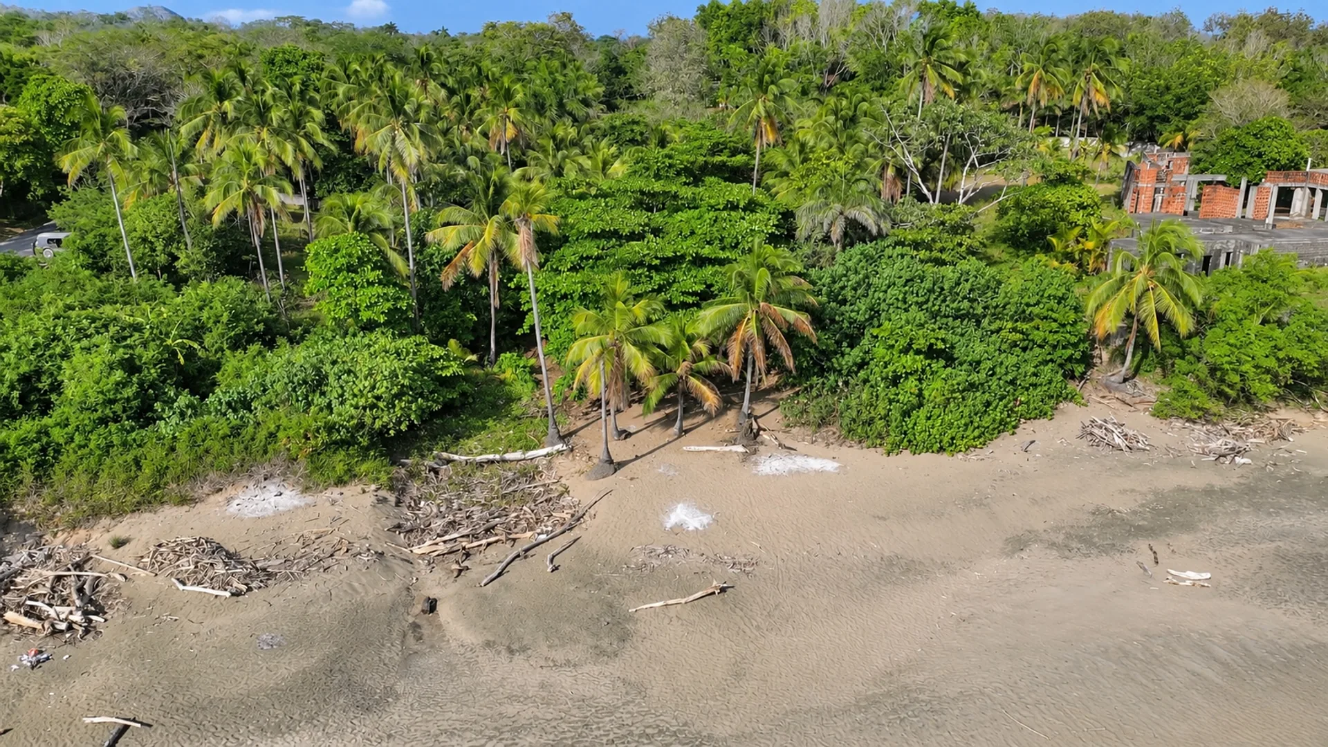 Palmeras sobre la ribera de playa de un terreno en venta, Playa Destiladeros, Pedasí