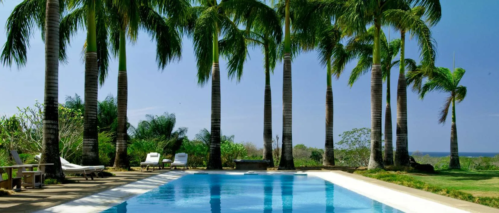 The pool at Villa Camilla, between the palms